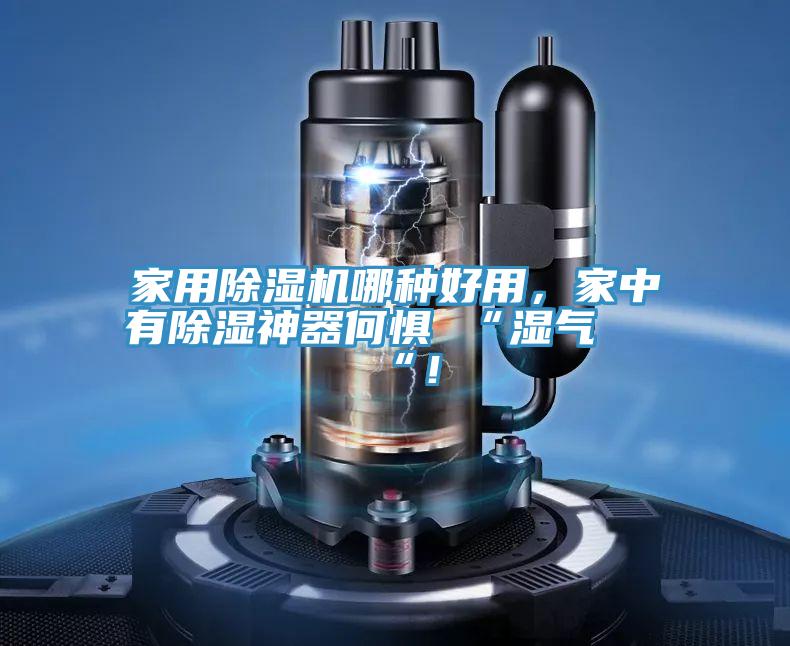 家用除濕機(jī)哪種好用，家中有除濕神器何懼 “濕氣 “！
