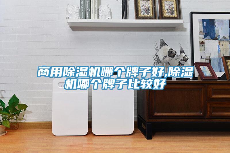 商用除濕機(jī)哪個牌子好,除濕機(jī)哪個牌子比較好