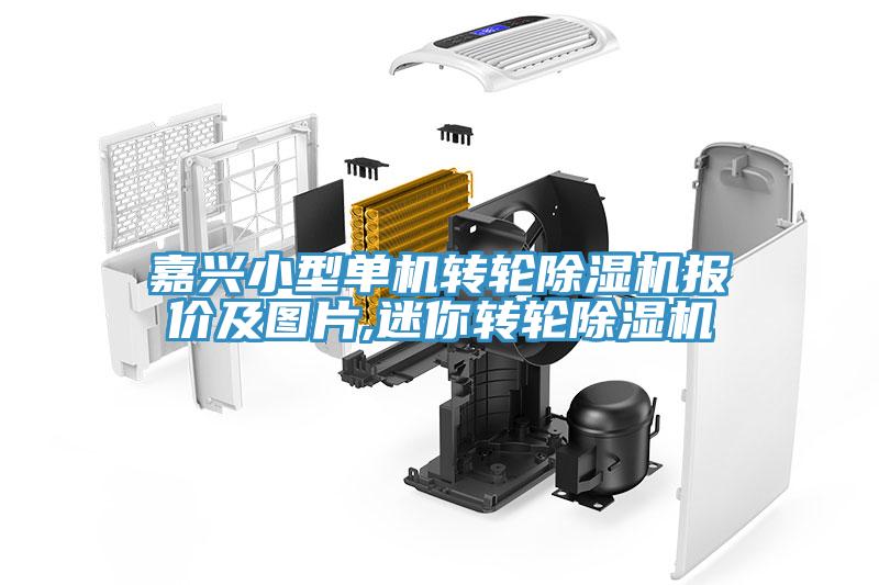 嘉興小型單機(jī)轉(zhuǎn)輪除濕機(jī)報(bào)價及圖片,迷你轉(zhuǎn)輪除濕機(jī)