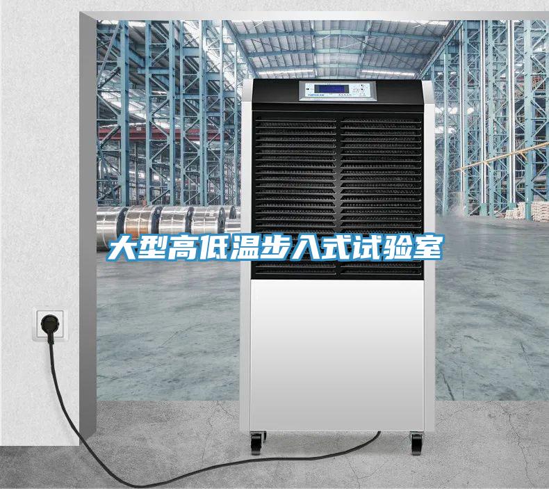 大型高低溫步入式試驗(yàn)室