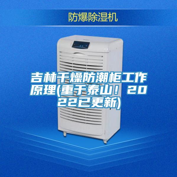 吉林干燥防潮柜工作原理(重于泰山！2022已更新)
