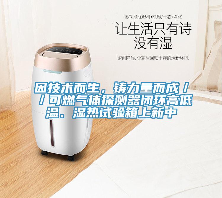 因技術(shù)而生，鑄力量而成／／可燃?xì)怏w探測(cè)器閉環(huán)高低溫、濕熱試驗(yàn)箱上新中