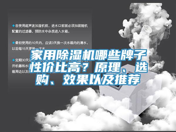 家用除濕機(jī)哪些牌子性價(jià)比高？原理、選購(gòu)、效果以及推薦