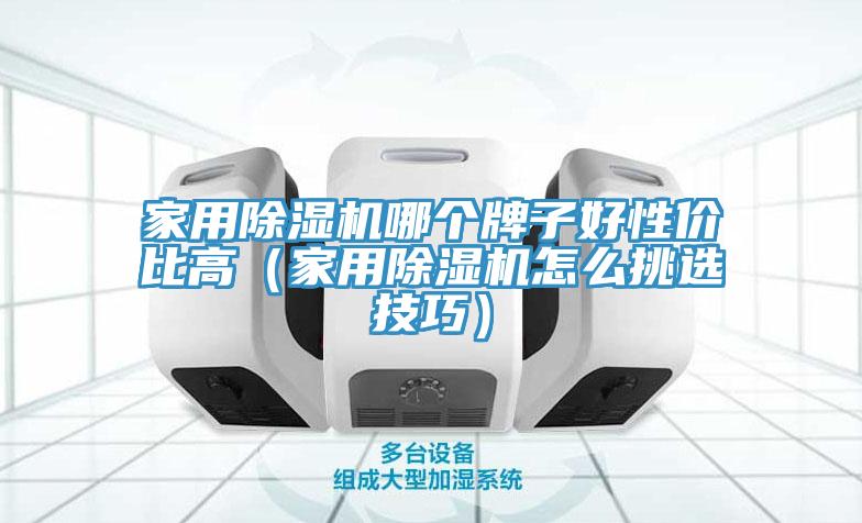 家用除濕機(jī)哪個牌子好性價比高（家用除濕機(jī)怎么挑選技巧）