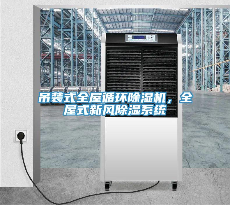 吊裝式全屋循環(huán)除濕機，全屋式新風(fēng)除濕系統(tǒng)