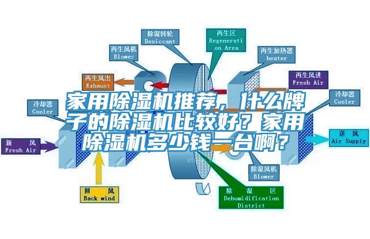 家用除濕機(jī)推薦，什么牌子的除濕機(jī)比較好？家用除濕機(jī)多少錢一臺?。?></div>
								<div   id=