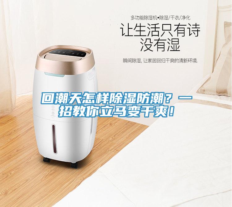 回潮天怎樣除濕防潮？一招教你立馬變干爽！