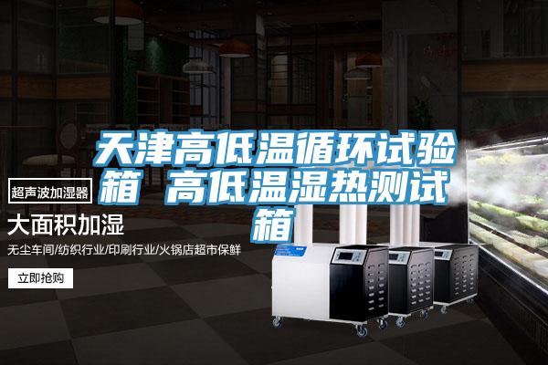 天津高低溫循環(huán)試驗(yàn)箱 高低溫濕熱測試箱