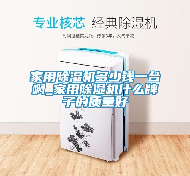 家用除濕機(jī)多少錢一臺(tái)啊_家用除濕機(jī)什么牌子的質(zhì)量好