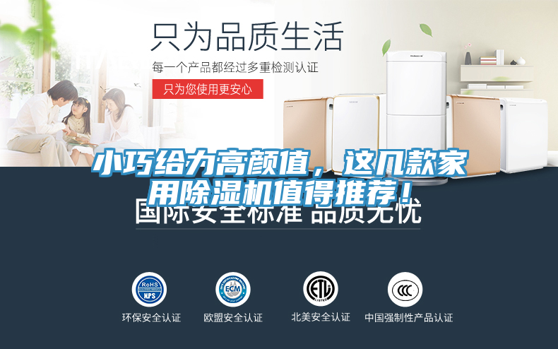 小巧給力高顏值，這幾款家用除濕機(jī)值得推薦！