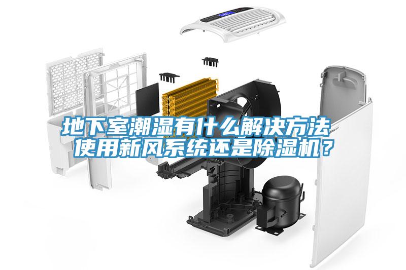 地下室潮濕有什么解決方法 使用新風(fēng)系統(tǒng)還是除濕機(jī)？