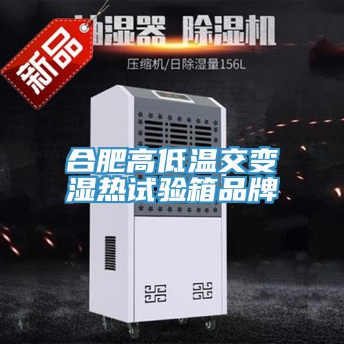 合肥高低溫交變濕熱試驗箱品牌