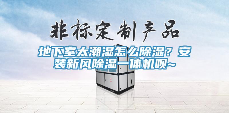 地下室太潮濕怎么除濕？安裝新風(fēng)除濕一體機(jī)唄~
