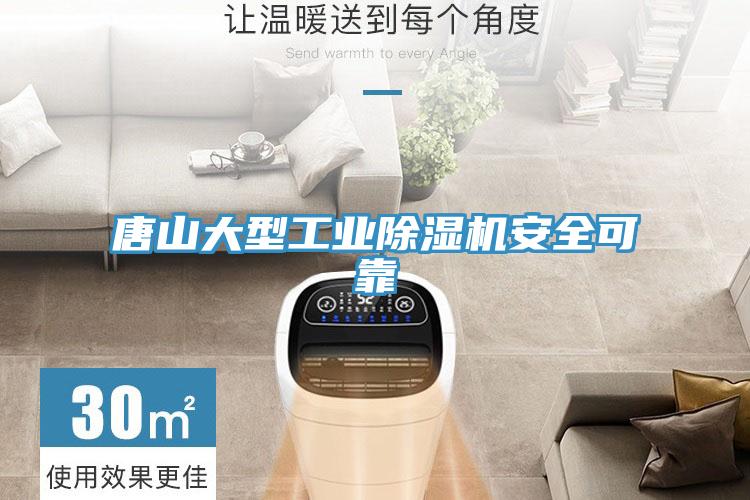 唐山大型工業(yè)除濕機安全可靠