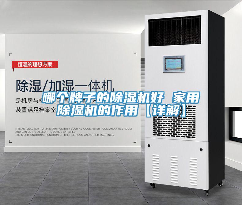哪個牌子的除濕機好 家用除濕機的作用【詳解】
