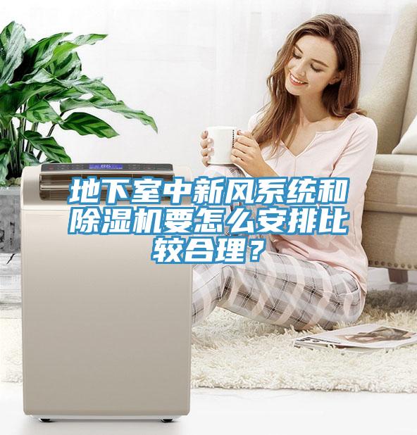 地下室中新風(fēng)系統(tǒng)和除濕機(jī)要怎么安排比較合理？