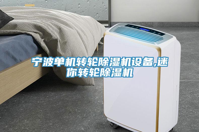 寧波單機(jī)轉(zhuǎn)輪除濕機(jī)設(shè)備,迷你轉(zhuǎn)輪除濕機(jī)
