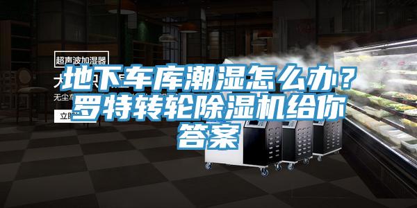 地下車庫(kù)潮濕怎么辦？羅特轉(zhuǎn)輪除濕機(jī)給你答案