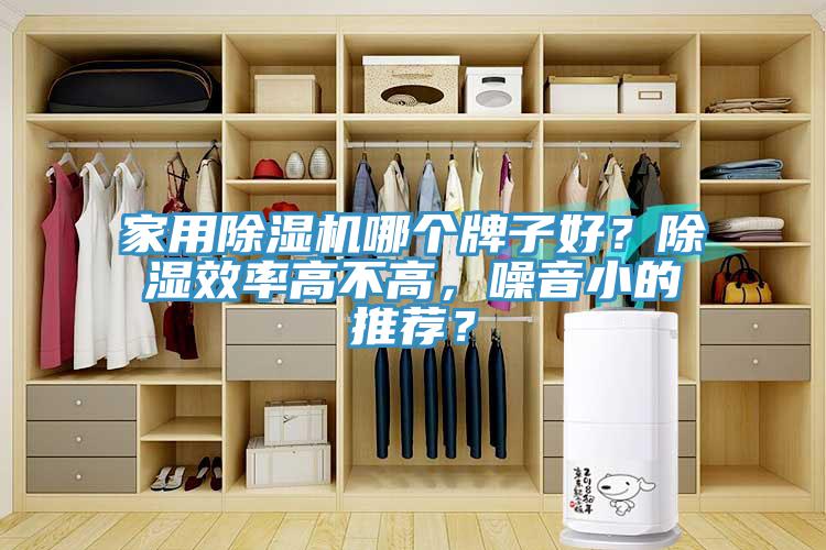 家用除濕機(jī)哪個(gè)牌子好？除濕效率高不高，噪音小的推薦？