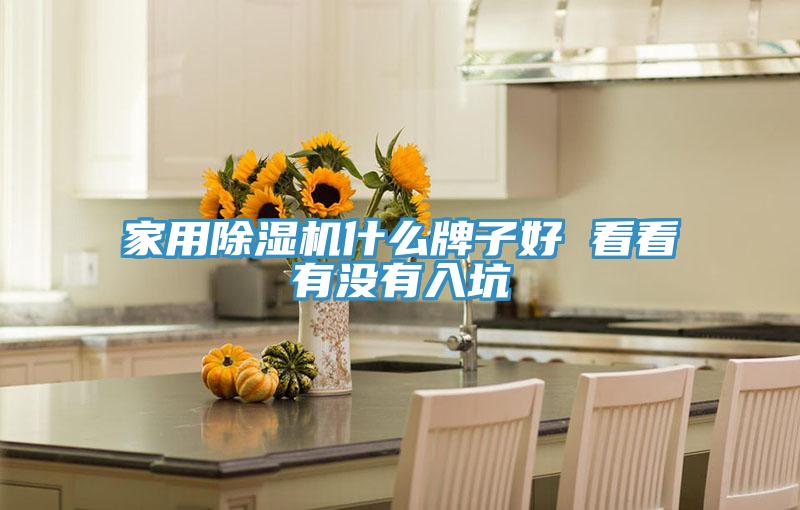 家用除濕機(jī)什么牌子好 看看有沒(méi)有入坑
