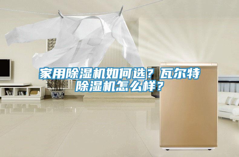 家用除濕機(jī)如何選？瓦爾特除濕機(jī)怎么樣？