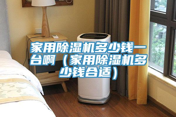 家用除濕機(jī)多少錢一臺(tái)啊（家用除濕機(jī)多少錢合適）