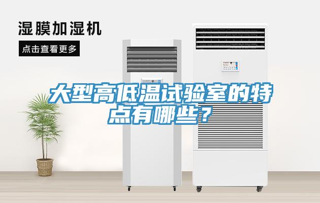 大型高低溫試驗(yàn)室的特點(diǎn)有哪些？