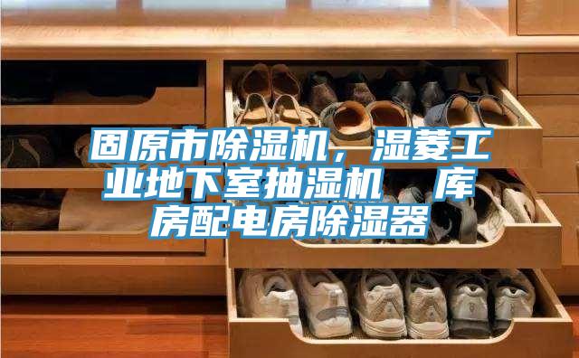 固原市除濕機(jī)，濕菱工業(yè)地下室抽濕機(jī)  庫房配電房除濕器