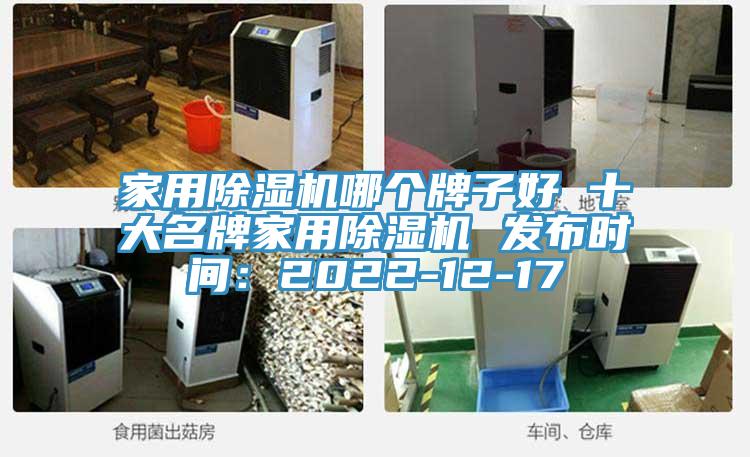 家用除濕機(jī)哪個牌子好 十大名牌家用除濕機(jī) 發(fā)布時間：2022-12-17