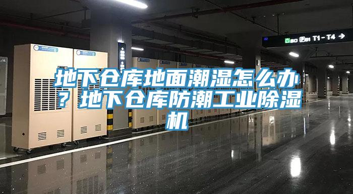 地下倉庫地面潮濕怎么辦？地下倉庫防潮工業(yè)除濕機(jī)