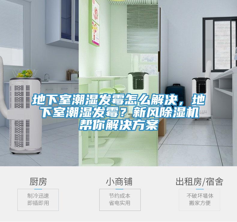 地下室潮濕發(fā)霉怎么解決，地下室潮濕發(fā)霉？新風(fēng)除濕機(jī)幫你解決方案