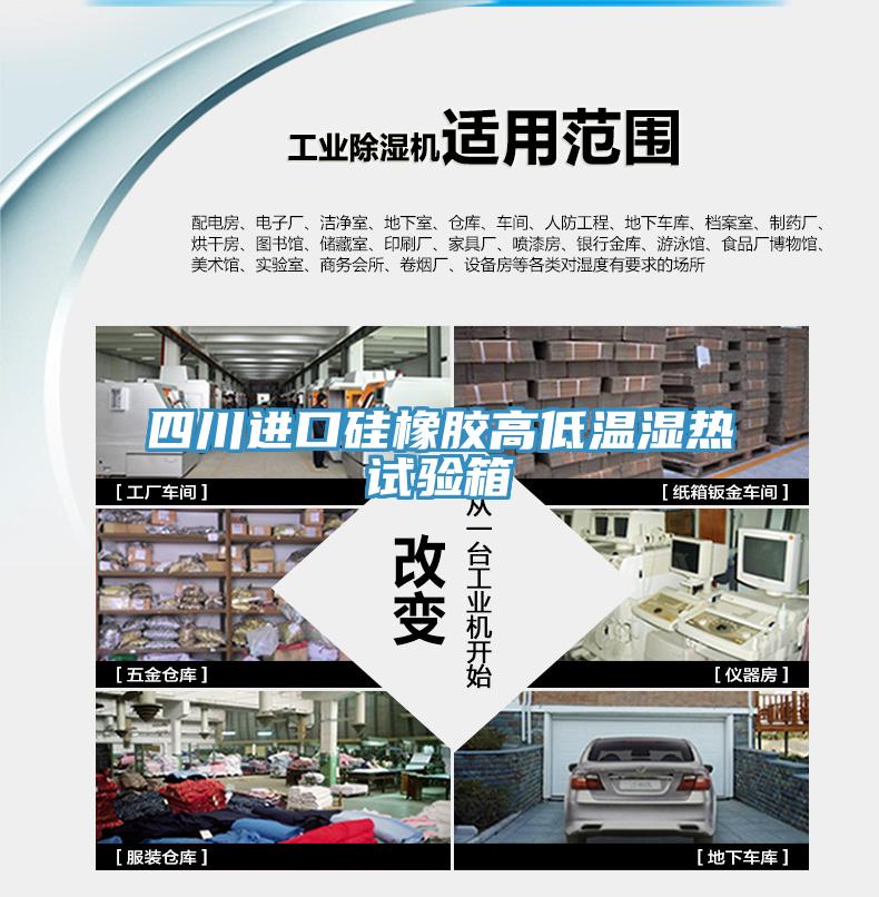 四川進(jìn)口硅橡膠高低溫濕熱試驗(yàn)箱