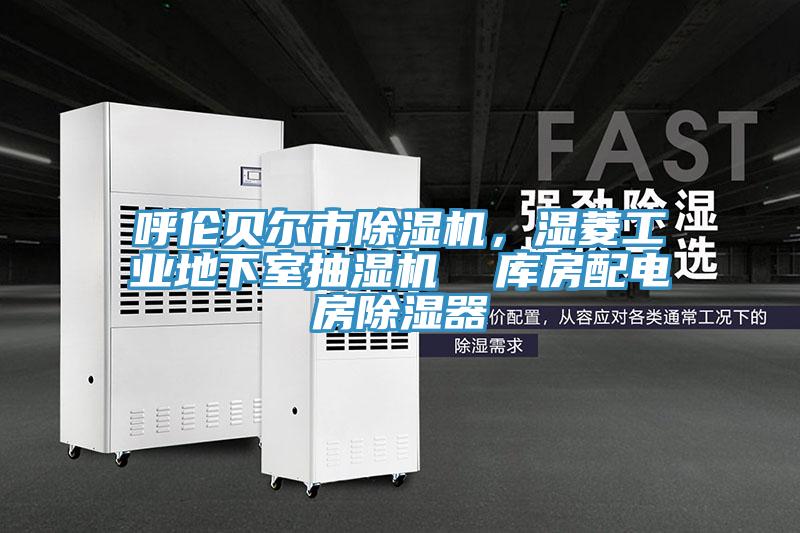 呼倫貝爾市除濕機(jī)，濕菱工業(yè)地下室抽濕機(jī)  庫房配電房除濕器