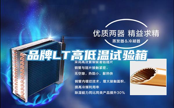 品牌LT高低溫試驗(yàn)箱