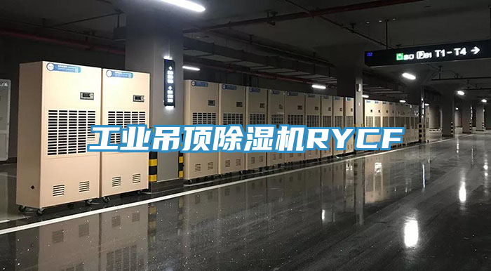 工業(yè)吊頂除濕機RYCF