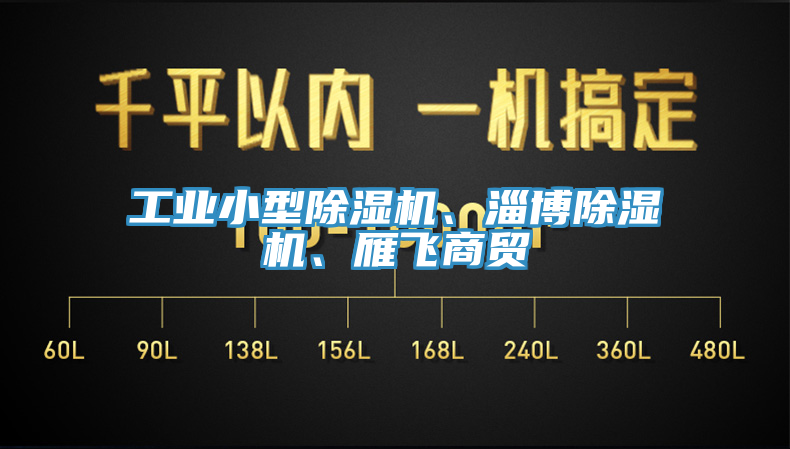 工業(yè)小型除濕機(jī)、淄博除濕機(jī)、雁飛商貿(mào)