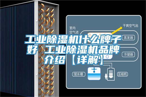 工業(yè)除濕機(jī)什么牌子好 工業(yè)除濕機(jī)品牌介紹【詳解】