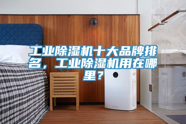 工業(yè)除濕機十大品牌排名，工業(yè)除濕機用在哪里？