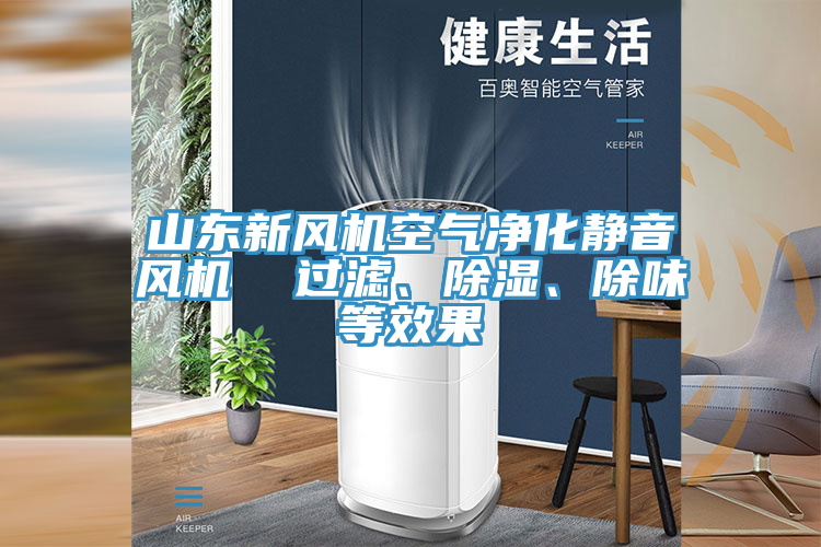 山東新風(fēng)機(jī)空氣凈化靜音風(fēng)機(jī)  過濾、除濕、除味等效果