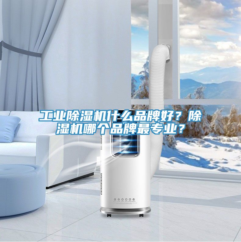 工業(yè)除濕機(jī)什么品牌好？除濕機(jī)哪個(gè)品牌最專業(yè)？