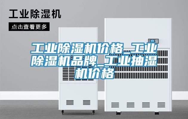 工業(yè)除濕機價格_工業(yè)除濕機品牌_工業(yè)抽濕機價格