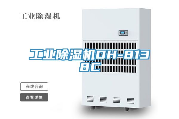 工業(yè)除濕機DH-8138C