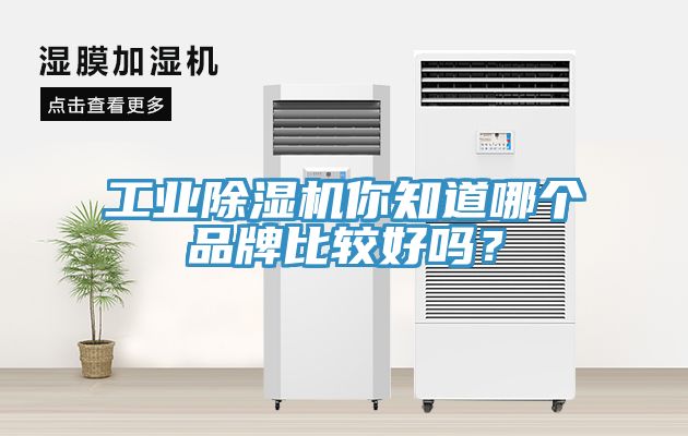 工業(yè)除濕機你知道哪個品牌比較好嗎？