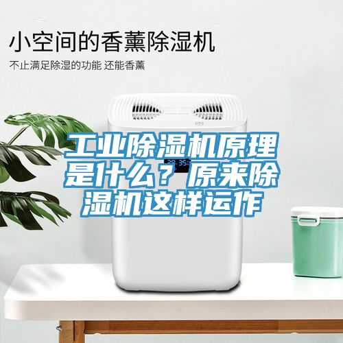 工業(yè)除濕機(jī)原理是什么？原來除濕機(jī)這樣運(yùn)作