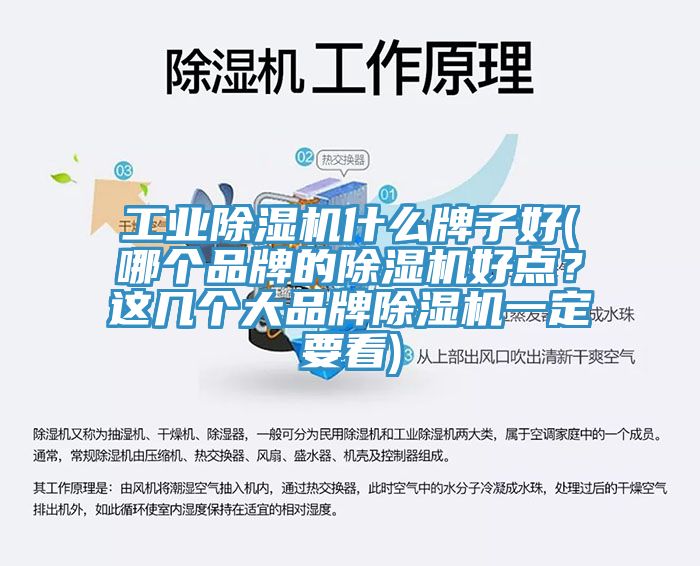 工業(yè)除濕機什么牌子好(哪個品牌的除濕機好點？這幾個大品牌除濕機一定要看)