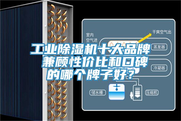 工業(yè)除濕機十大品牌 兼顧性價比和口碑的哪個牌子好？