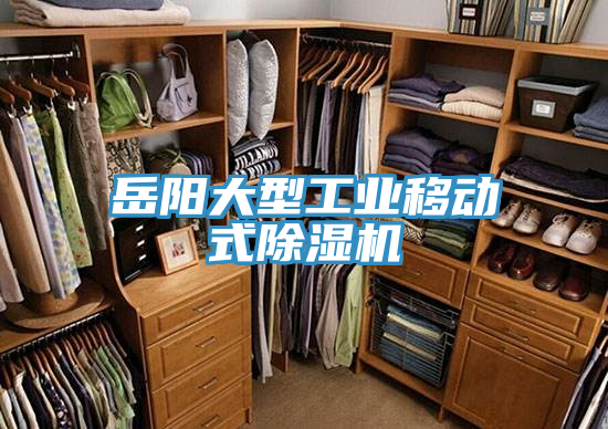 岳陽(yáng)大型工業(yè)移動(dòng)式除濕機(jī)