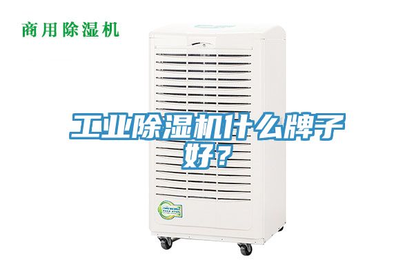 工業(yè)除濕機什么牌子好？