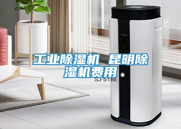 工業(yè)除濕機(jī) 昆明除濕機(jī)費(fèi)用
