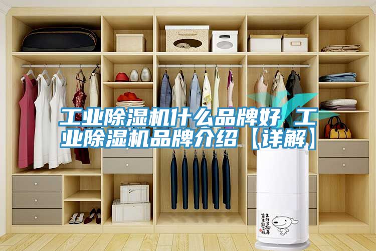工業(yè)除濕機(jī)什么品牌好 工業(yè)除濕機(jī)品牌介紹【詳解】